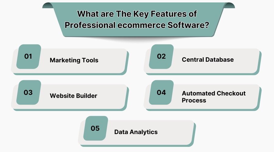 What are the key features of professional ecommerce software